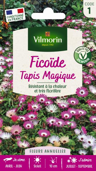Fleurs - Ficoïde Tapis Magique - PACKAGING_RECTO